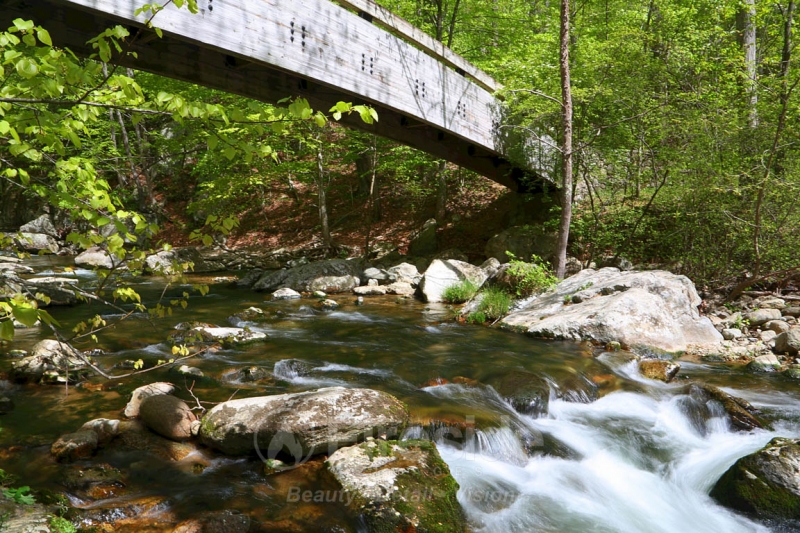 Rustic Bridge